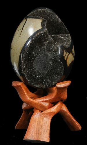 Septarian Dragon Egg Geode - Shiny Black Crystals #40893